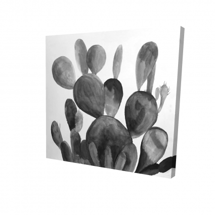 Grayscale paddle cactus plant