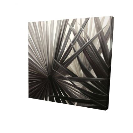 Grayscale tropical plants
