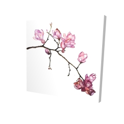 Branche de fleurs de cerisier