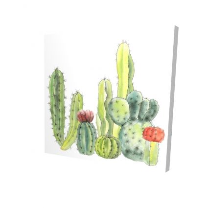 Small cactus