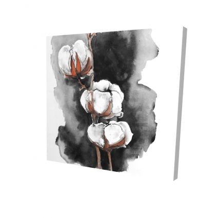 Fleurs de cotton