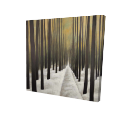 Randonnée en forêt