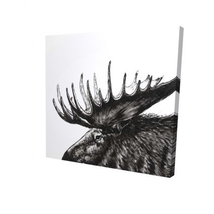 Moose plume