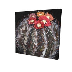Cactus mammillaria en fleur