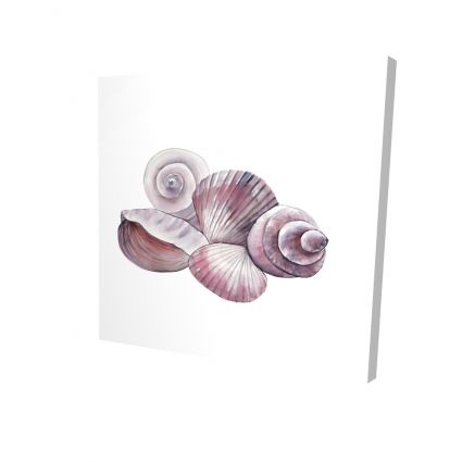 Coquillages de mer