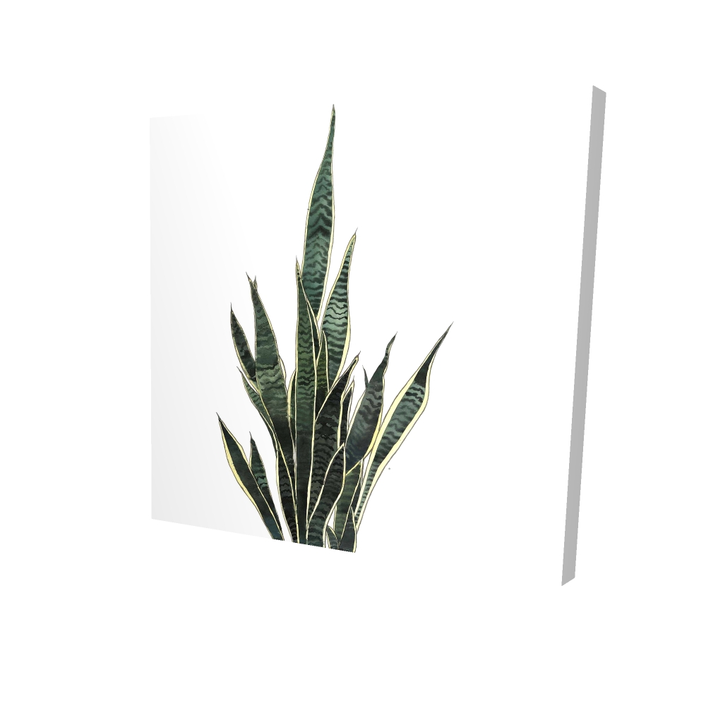 Toile 24 x 24 - 3D - Plante couteau