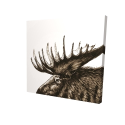 Moose plume sepia