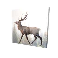 Large plume roe deer