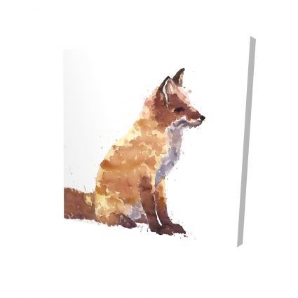 Red fox
