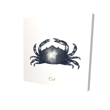 Crabe bleu