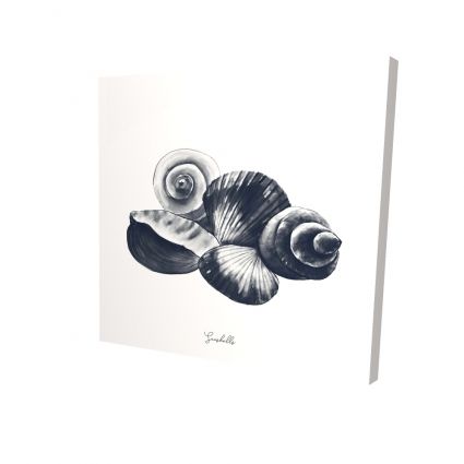 Coquillages de mer bleu
