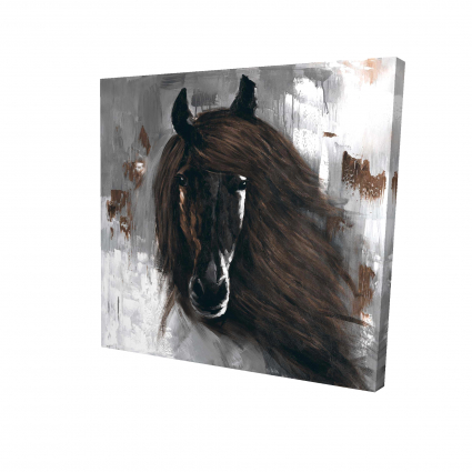 Dark brown horse