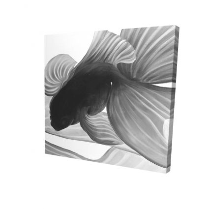Monochrome two betta