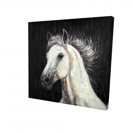 White star horse