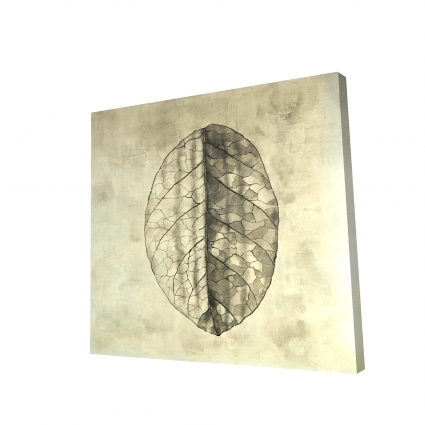 Translucent