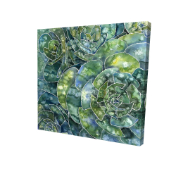 Succulents abstrait