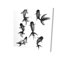 Black fishes