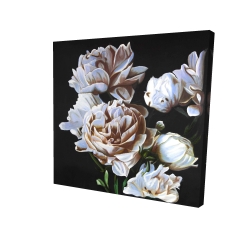 Peonies