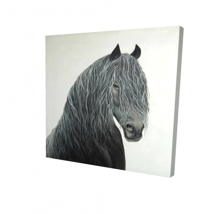 Wild heart horse