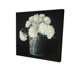 White hydrangea flowers