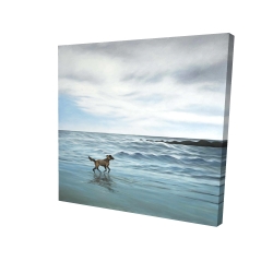 Chien à la plage