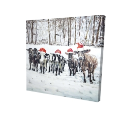 Curious christmas cows