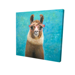 Aimable llama
