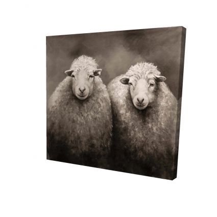 Moutons sépia