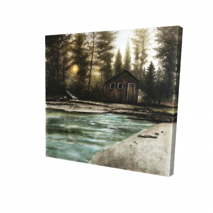 Cabane dans le bois