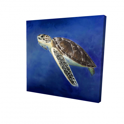 Beautiful sea turtle