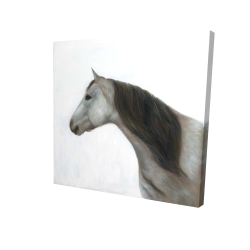 Winter horse