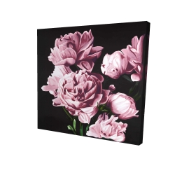 Pink peonies