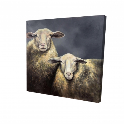 Deux moutons