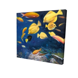 Poissons sous l'océan