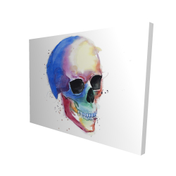 Watercolor colorful skull profile