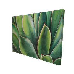 Watercolor agave plant