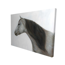 Winter horse