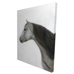 Winter horse