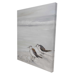 Deux oiseaux bécasseau