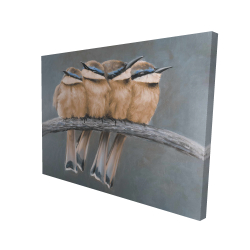 Four birds on a branch