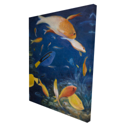 Poissons colorés sous l'océan