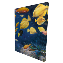 Poissons sous l'océan