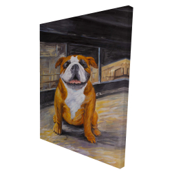 Bouledogue souriant
