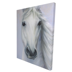 Cheval blanc puissant
