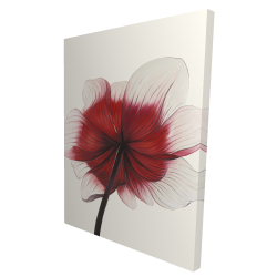 Anemone red flower