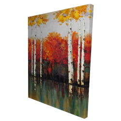 Bouleaux en automne