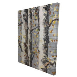 Blossoming birches