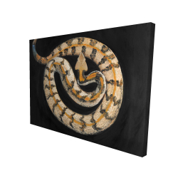 Southern timber rattlesnake
