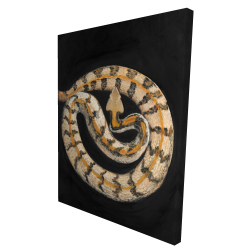 Southern timber rattlesnake