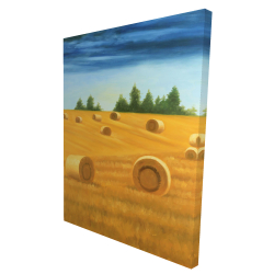 Paysage de la campagne